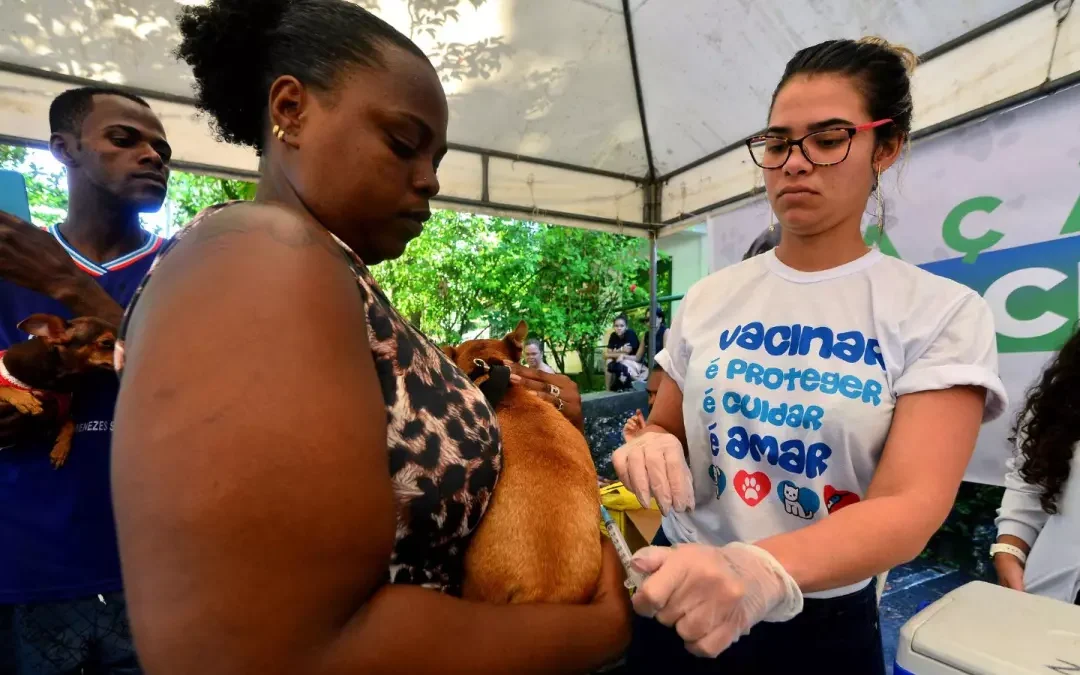 Secis realiza mutirão para garantir a proteção de cães
