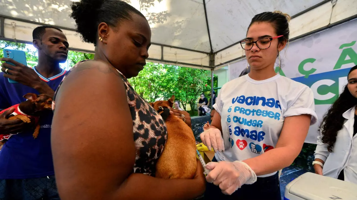 prote&ccedil;&atilde;o de c&atilde;es contra diversas doen&ccedil;as, a Secretaria Municipal de Sustentabilidade, Resili&ecirc;ncia, Bem-estar e Prote&ccedil;&atilde;o Animal (Secis)